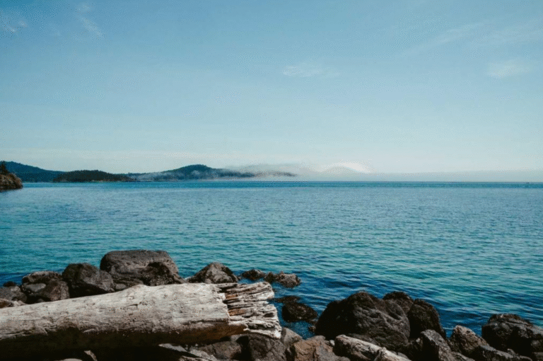 Aut non id tempore consequatur