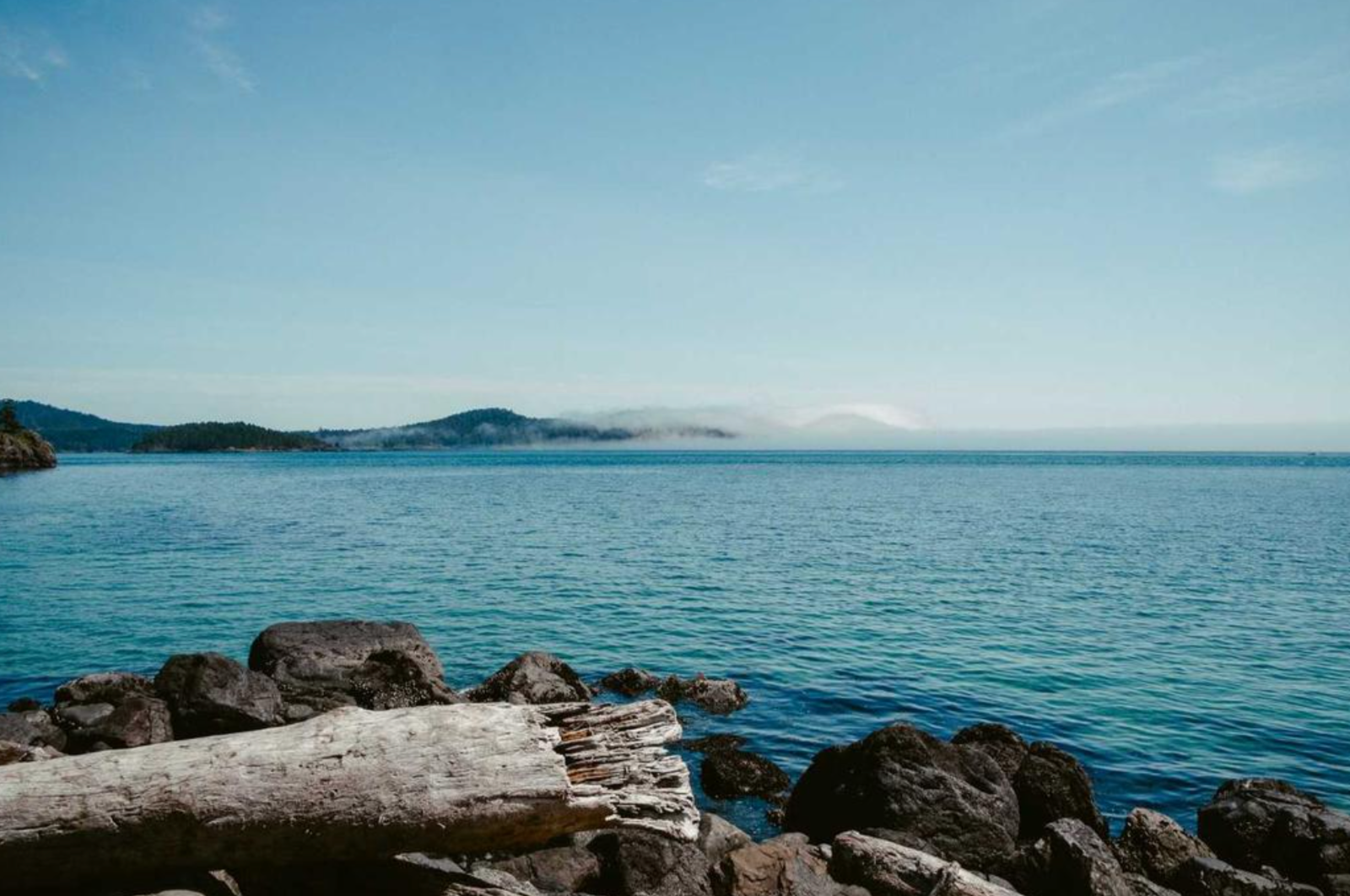 Aut non id tempore consequatur